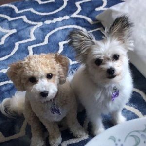 Meet your Posher, Christine